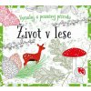 Omalovánky Život v lese