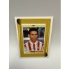 Panini 1998-1999 #432 Ronaldo PSV Eindhoven – nálepka