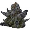 Highbreed Seeds - Sherbet Jedi Joint Auto 7 ks - Semená bez THC