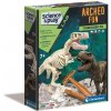 ArcheoFun Tyrannosaurus Rex