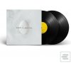 Wilco: A Ghost Is Born… (Wilco)