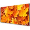 Skleneny obraz Listy príroda rastlina 100x50 cm