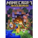 Minecraft (Java & Bedrock Edition)