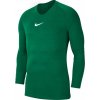 Nike tričko s dlhým rukávom NK Dry Park 1STLYR JSY LS av2609-302