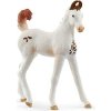 Schleich Schleich Zvieratko - Žriebä marwari OLP102614896
