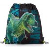 Karton P+P Premium Dinosaurus