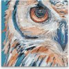 Diamantové maľovanie - Sova Bina - 40x40 cm, bez dřevěného rámu - výroba CZ
