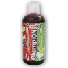 Amix ChampION Sports Fuel Concentrate 1000ml - Pineapple