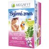 Megafyt bylinný čaj pre dojčiace mamičky s jastrabiny 20 x 1,5 g