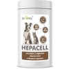 Dromy Hepacell 60 tabliet
