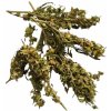 CBD konopný čaj, balenie 1 kg