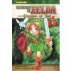The Legend of Zelda, Vol. 1, 1: The Ocarina of Time - Part 1 (Himekawa Akira)