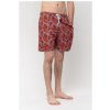 Santa Cruz kraťasy Hands All Over Swimshort Light Grey