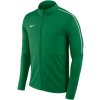 Nike Dry Park 18 Junior AA2071 302 football jersey