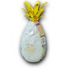 Pinaq Colada Mini 17% 0,05L (čistá fľaša)