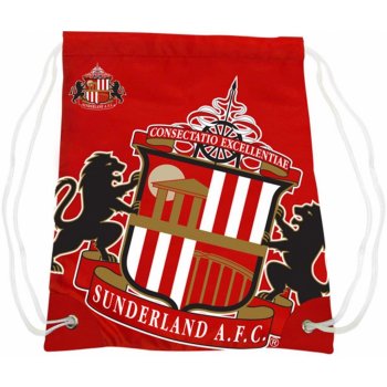 Team Football Sunderland