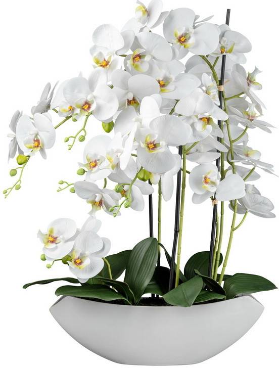 Umelá kvetina Orchidea biela v miske, 66cm