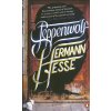 Steppenwolf - H. Hesse