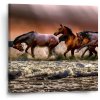 Sablio Obraz Kone vo vode - 50x50 cm
