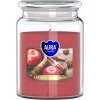 Bispol Aura Maxi Apple Cinnamon 500 g