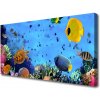 Obraz na plátne Koralový útes ryba príroda 100x50 cm