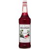 Monin Grenadine 1,0l