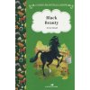 Black Beauty. Ediz. ad alta leggibilità (Anna Sewell)(Pevná)