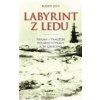 Labyrint z ledu - Levy Buddy