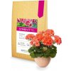 Symbiom Symbivit Kvet 20 kg