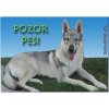 Pozorpes.sk, výstražná tabuľka (Československý vlčiak)