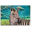 Vymalujsisam.sk Maľovanie podľa čísiel - Voľne žijúca zebra Veľkosť: 40x60cm, Rám: Na kartónovej doske