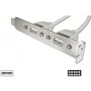 DIGITUS záslepka slotu s 4 USB portami / kábel 2x 10 Pin / 0.25m AK-300304-002-E