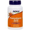 Now Foods Kyselina Pantoténová 500 mg 100 kapsúl