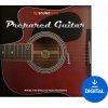 Soundiron Iron Pack 12 - Prepared Guitar (Digitálny produkt)