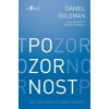 Pozornost