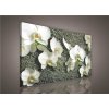 Obraz na plátne, rozmer 100 x 75 cm, biela orchidea na kameni, IMPOL TRADE PP413O1