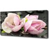 Foto obraz canvas Magnólie kameň zen 100x50 cm