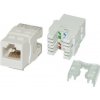 Keystone Masterlan UTP Cat 5e - bílý, zadní zářez LY-KJ5-19