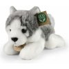 RAPPA Plyšový pes husky ležící 20 cm, Eco-Friendly