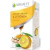 Megafyt ovocný Zázvor Med Citrón 20 x 2 g