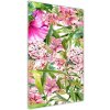 Vertikálny foto obraz sklenený Tropické kvety 50x100 cm