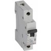 Legrand ISTIČ RX3 1P C20 6000A