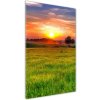 Vertikálny foto obraz sklenený Západ slnka 50x100 cm