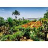 RAVENSBURGER Puzzle Kúzelné záhrady: Botanická záhrada, Madeira 1000 dielikov