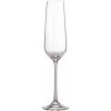 BOHEMIA ROYAL CRYSTAL Súprava pohárov na šumivé víno Globo 4 x 210 ml