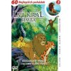 Lví král - Simba 3 - DVD