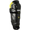 Holene Bauer Supreme MACH Senior 17 palcov