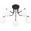 Sollux | Sollux SL.1663 - Luster na tyči ASTRAL 5xG9/8W/230V čierna | SLX1417