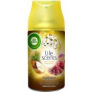 Air Wick Freshmatic Rajská záhrada náplň 250 ml