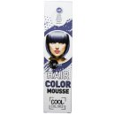 Wats Elysée Hair Color Mousse farebné penové tužidlo č.68 dymová 75 ml